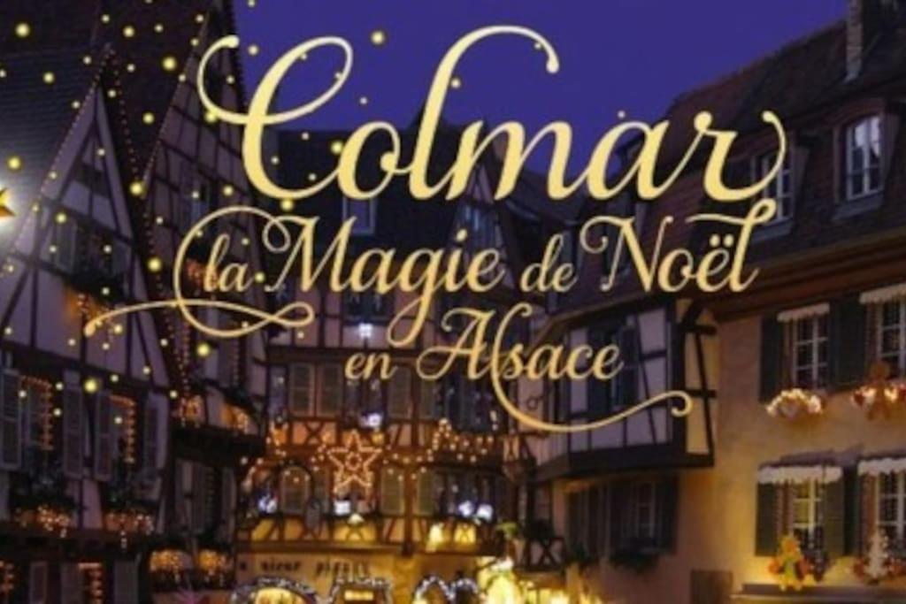 Aux Portes De La Petite Venise Colmar Exterior photo